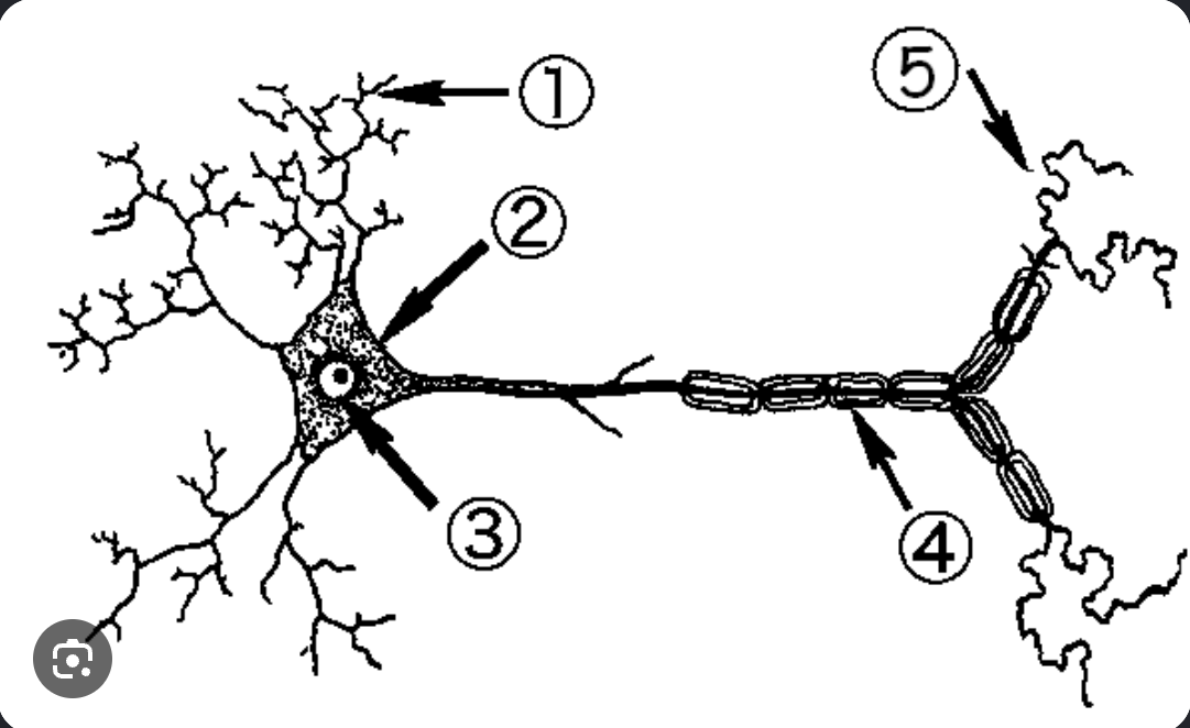 <p>2</p>