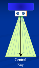 <p>**Center of the diameter (bullseye) of the x-ray beam and PID (Position Indicating Device)</p><p>- Directed toward the center of the receptor</p><p>- External landmarks used to guide the CR entry for each view</p>