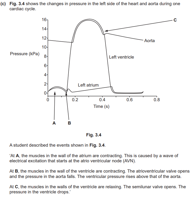 <p>Identify three errors made in the students description and write the correction for each error (3)</p>
