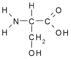 <p>What is this amino acid and its codon?</p>