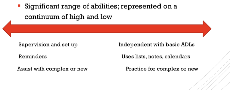 <p>Level 4: Allen Cognitive </p>