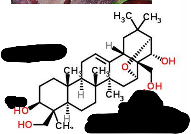 <p>beta escigenina </p>