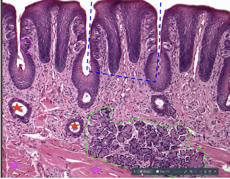 <p>label everything </p>