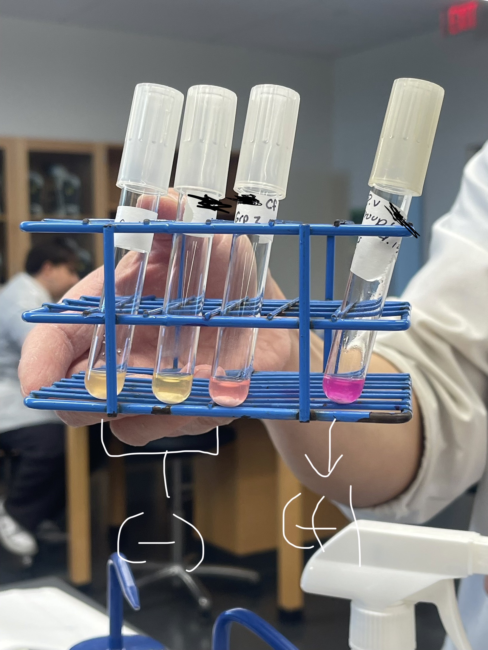 <p>What kind of test is this, purpose, application, it’s media, inoculation guide, incubation, theory, and results?</p>