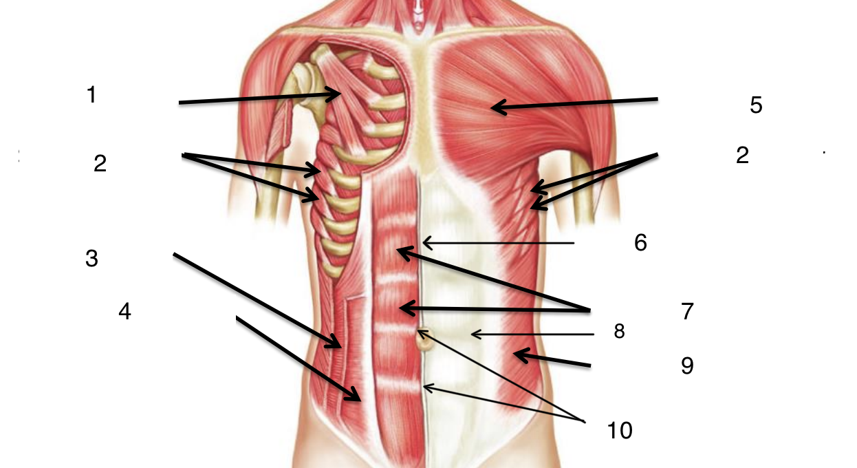<p>5</p>