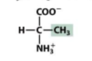 <p>Hydrophobic</p>