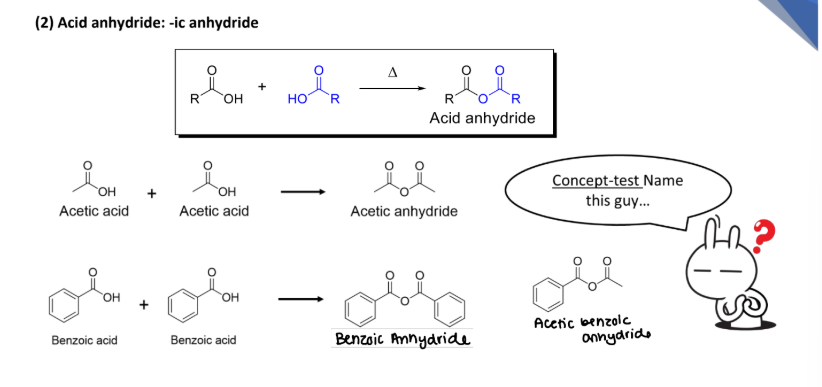 <p><strong><u>Naming Carboxylic Acid Derivatives</u></strong></p><p>(2) _______: replace <strong>“-ic acid” with “-ic anhyride”</strong></p><ul><li><p>Split anhydride into two carboxylic acids</p></li></ul><p></p>