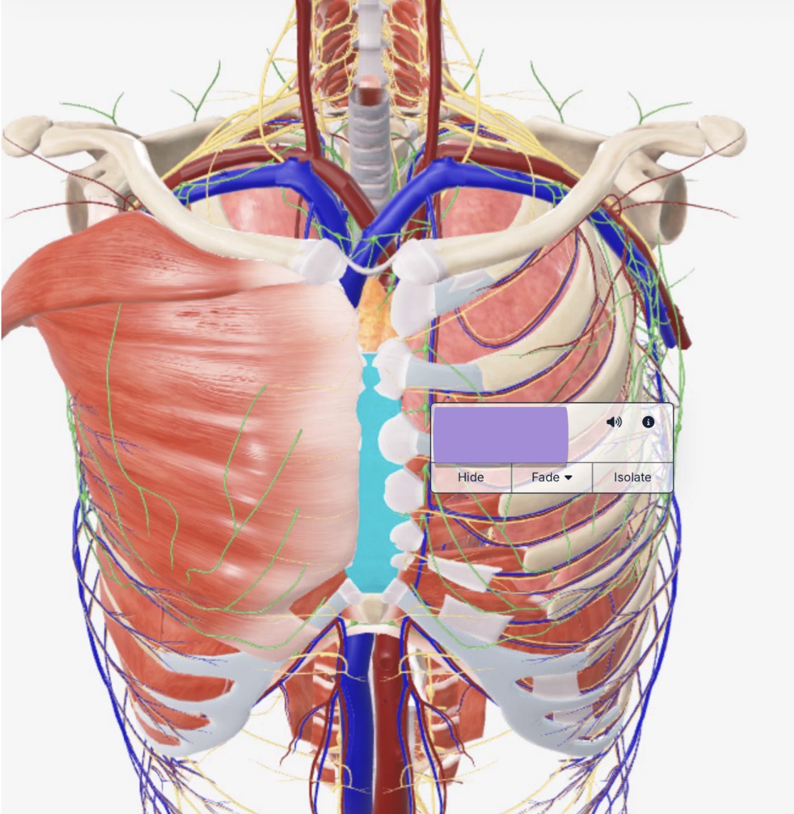 term image
