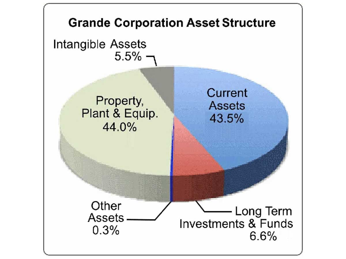 <p>Composition of assets on balance sheet (not financing mix)</p>