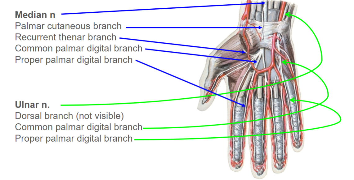 <p>Picture </p>