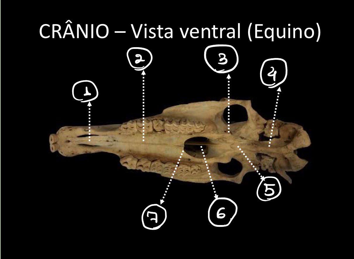 <p>1 e 2</p>