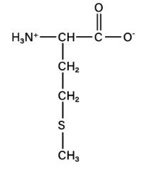 <p>non-polar aliphatic</p>
