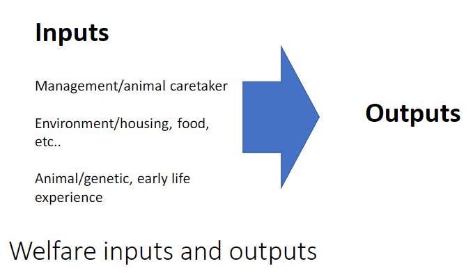 <p><strong>Inputs</strong><br> <strong>Management / animal caretaker</strong><br> <strong>Environment</strong> – housing, food, etc<br> <strong>Animal factors</strong> – genetics, early life experience</p><p><strong>Outputs</strong><br> Resulting <strong>animal responses</strong></p>