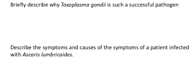 <p>Example SAQ Questions</p>
