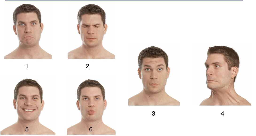 <p>ID 6</p>