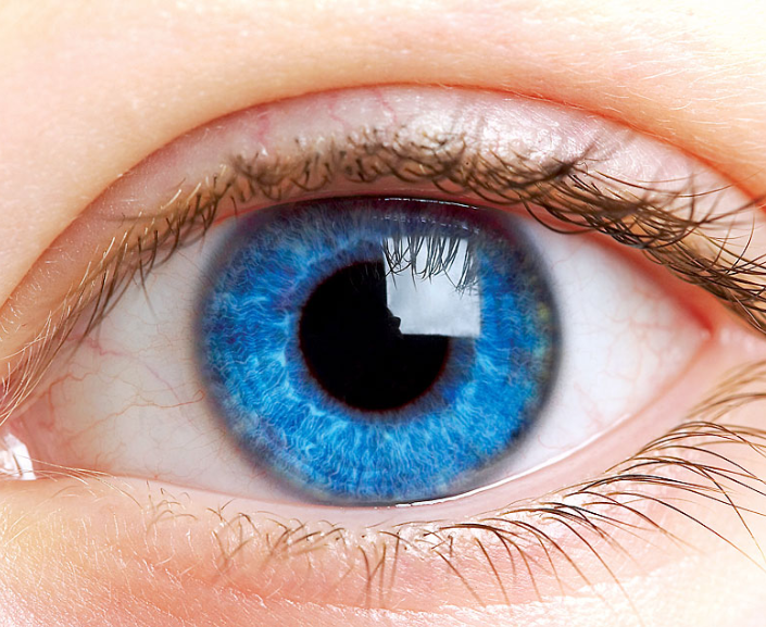 Eye