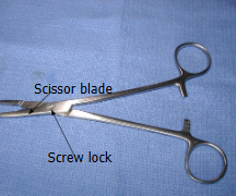 <p>What is the name of this intrument?</p>