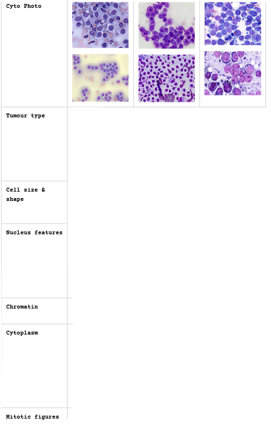 <p><span>Round Cell Tumours - Cytologic Characteristics</span></p>