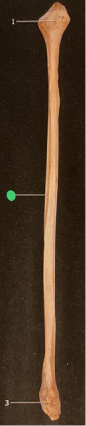 <p>1</p>