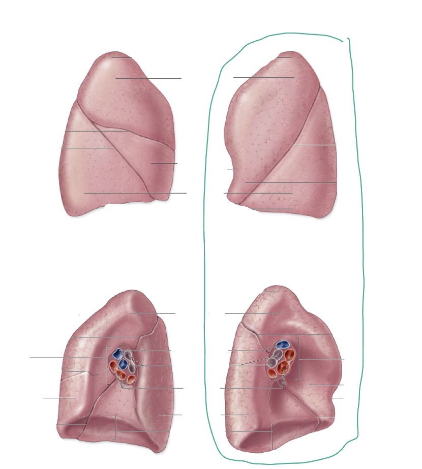 <p>what is this </p>