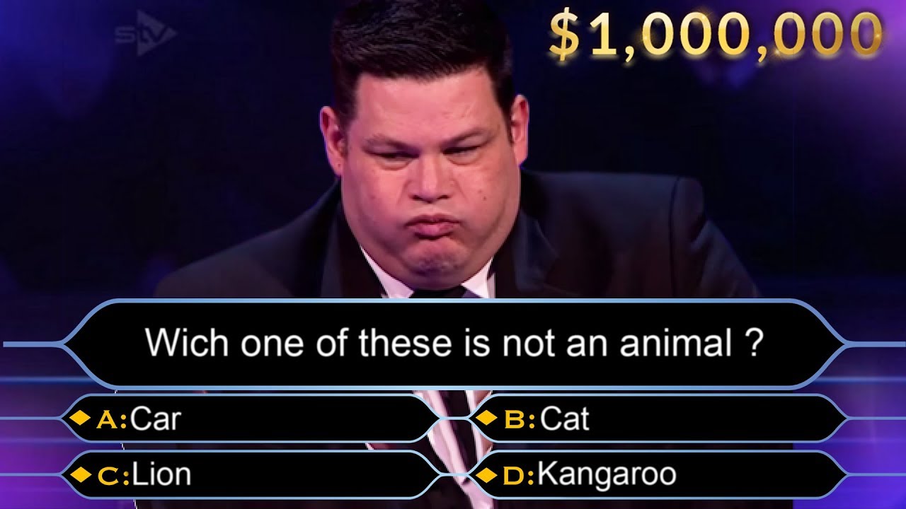 <p>quiz shows: </p>