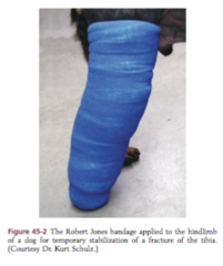<p>provides transient support of injuries distal to elbow/stifle</p>