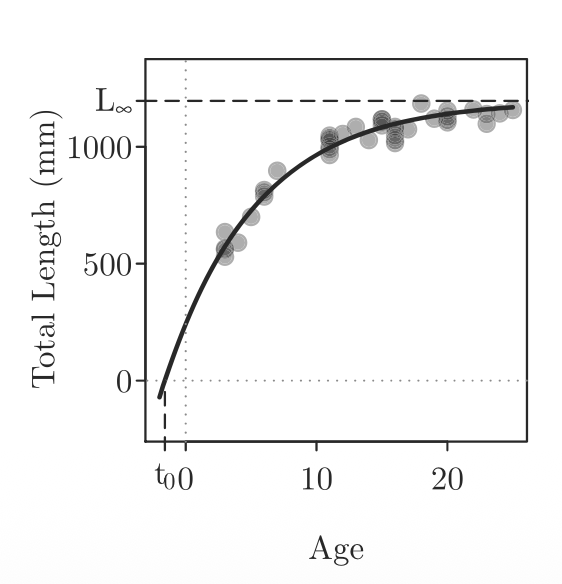 <p>Von Bertalanffy growth model</p>
