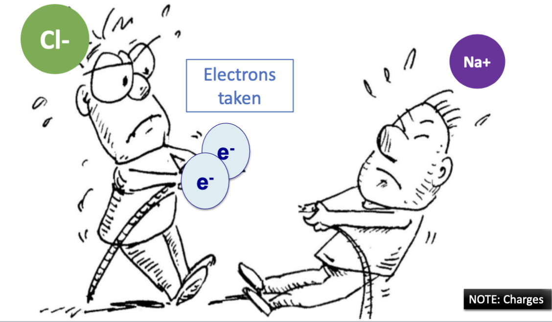 <ul><li><p>very large difference in electronegativity</p></li><li><p>electrons are taken</p></li><li><p>charges</p></li></ul><p></p>