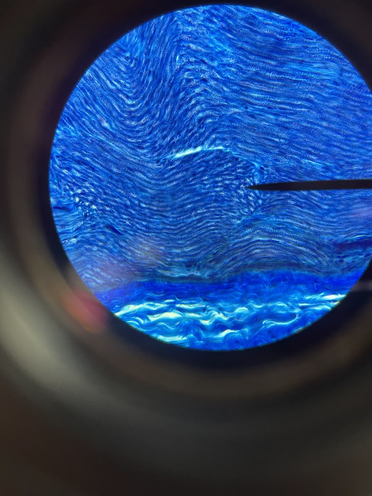 <p>cell type + location</p>