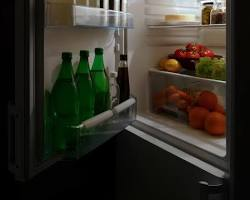 Refrigerator / Fridge