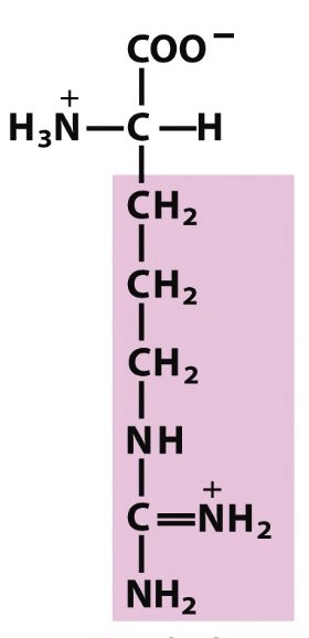 <p></p>