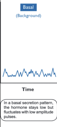 <p>hormone level stays low, but fluctuates with low amplitude pulses</p><ul><li><p>GnRH secretion from tonic center</p></li><li><p>“background”</p></li></ul><p></p>