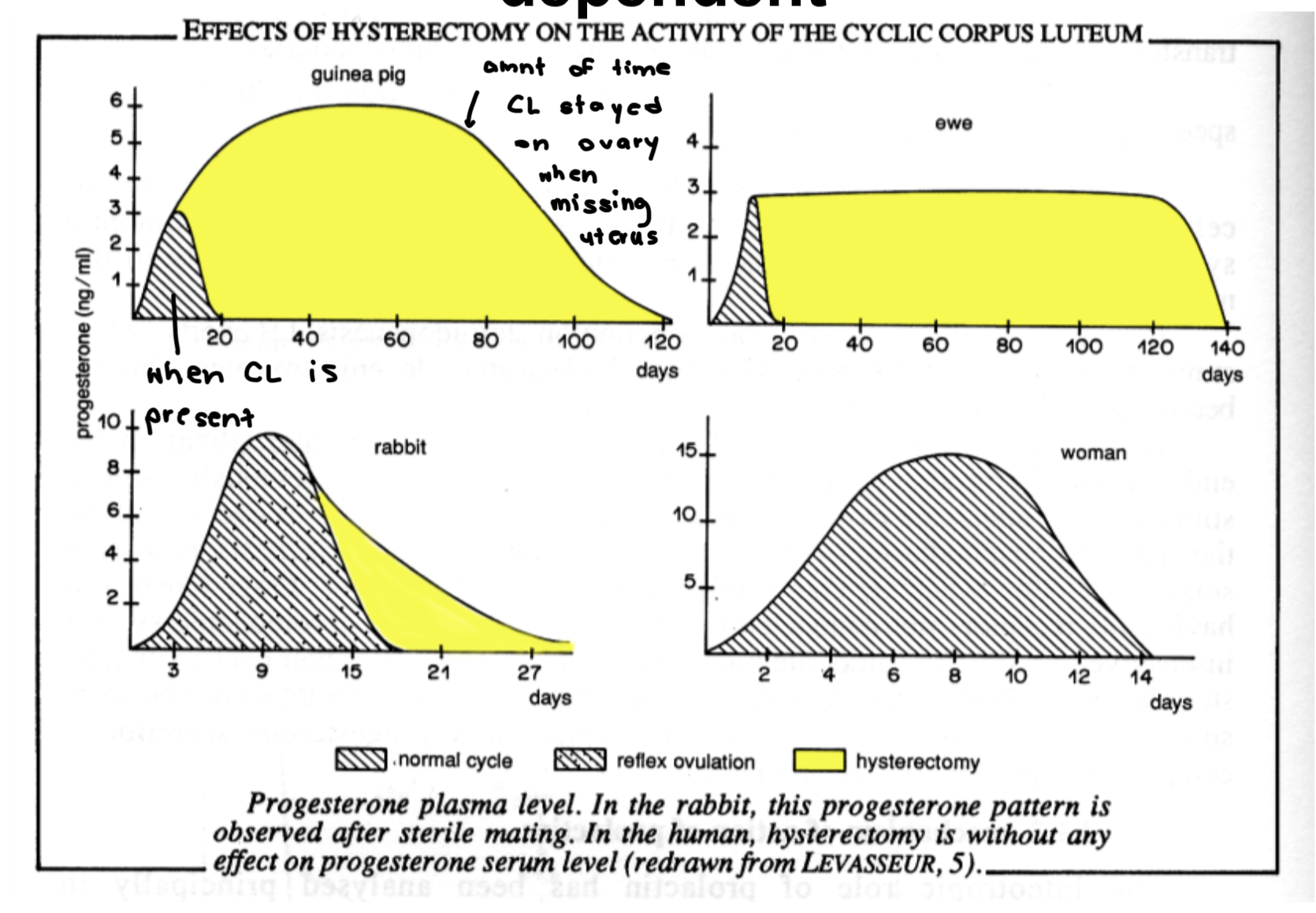 <p>Found that uterus produced something that regressed CL (except in primate/woman where it regressed even without uterus)</p>
