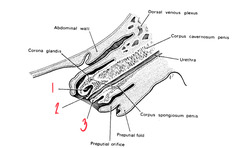 <p>What is 3?</p>