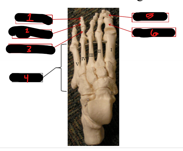 <p>2</p>