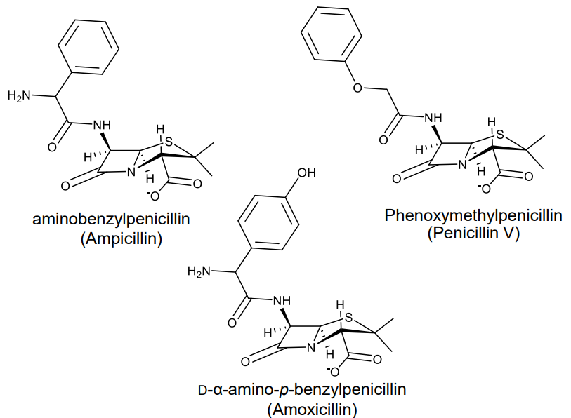 <p>Aminobenzylpenicillin (Ampicillin) </p><p>Phenoxymethylpenicillin (Penicillin V) </p><p>D-α-amino-p-benzylpenicillin (Amoxicillin)</p>