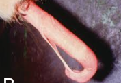 <p>What is shown here?</p>