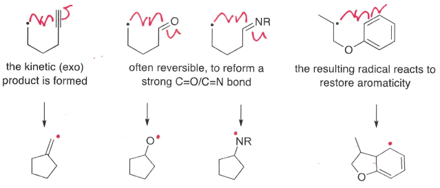 <p>A radical reacts with a double bond within itself, forming a ring.</p>