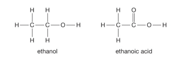 <ul><li><p>Complete combustion: burning in air or oxygen to form CO2 and H2O</p></li><li><p>Microbial oxidation: reaction with oxygen in the air to form ethanoic acid (vinegar) with the help of microorganisms such as bacteria or yeast</p></li><li><p>Heating (in water bath) with potassium dichromate(IV) in dilute sulfuric acid to form ethanoic acid</p></li></ul><p></p>