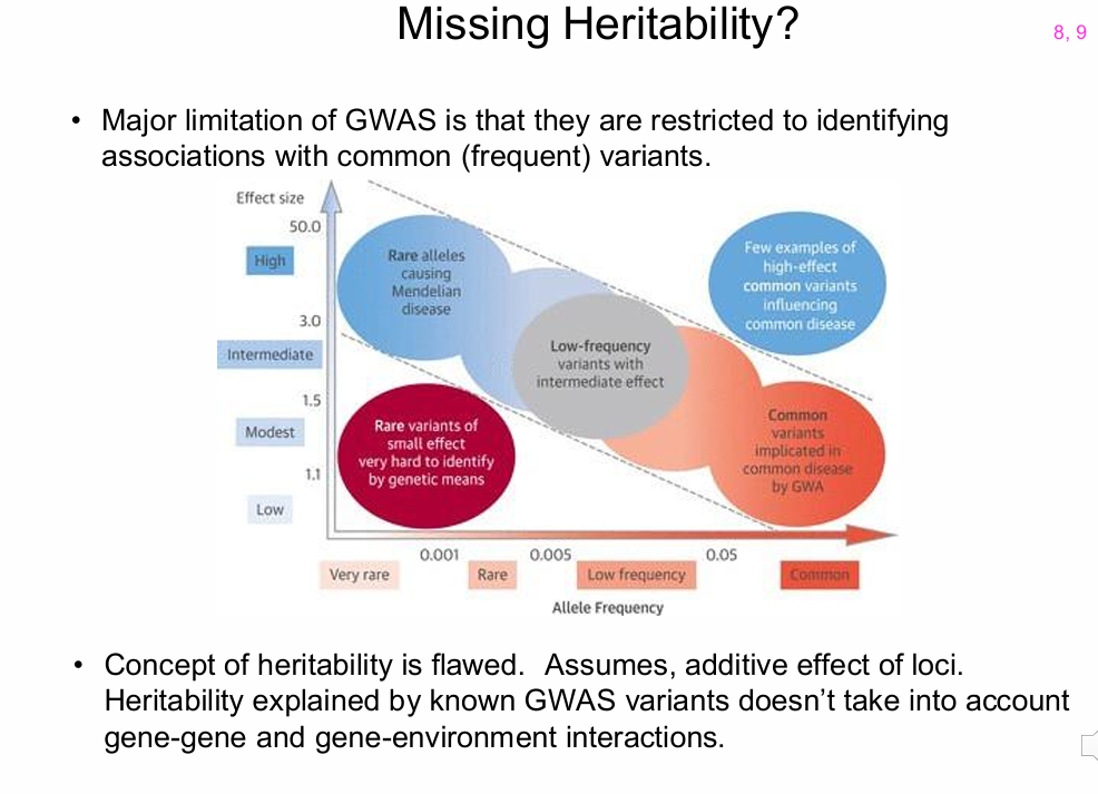 <p>What possible sources of missing heritability were identified?</p>