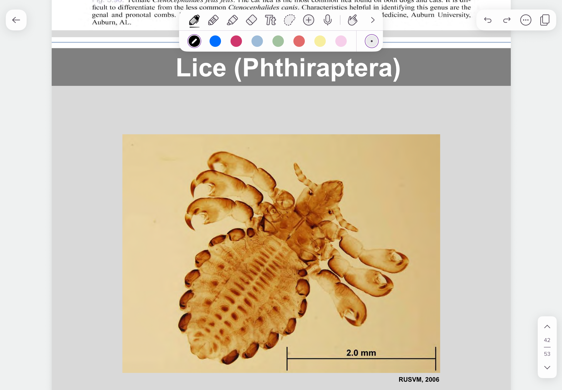 knowt flashcard image