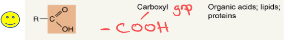 <p>Carboxyl group — found in organic acids, lipids, and proteins.</p>