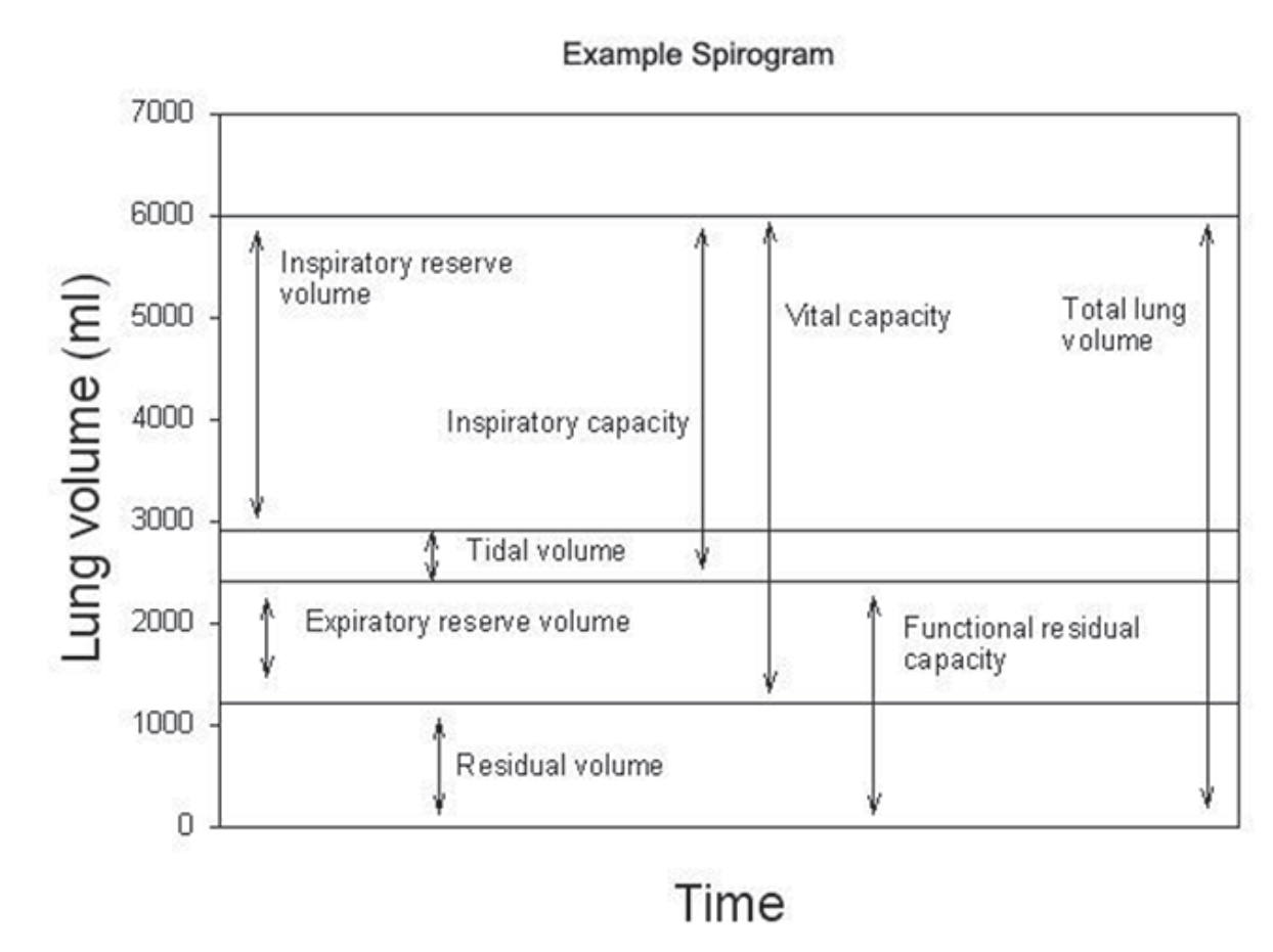 <p>Make spirogram!</p>