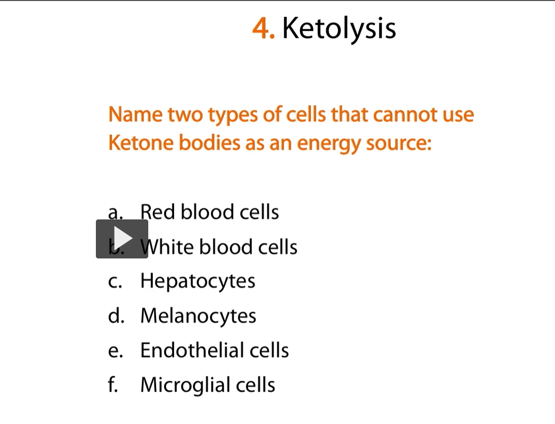 <p><u>question</u></p><p>name two types of cells that <strong>cannot </strong>use <strong>ketone bodies</strong> as an <strong>energy source</strong>: </p><ol><li><p><strong>red blood cells </strong>(because they don’t have mitochondria)</p></li><li><p> <strong>hepatocytes </strong>(because they don’t have the succinyl-coa-acetoacetate CoA transferase enzyme)</p></li></ol><p></p>