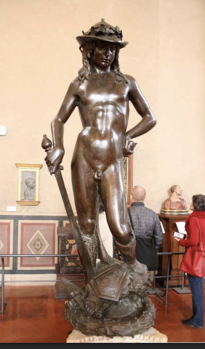 <p>Donatello David </p>