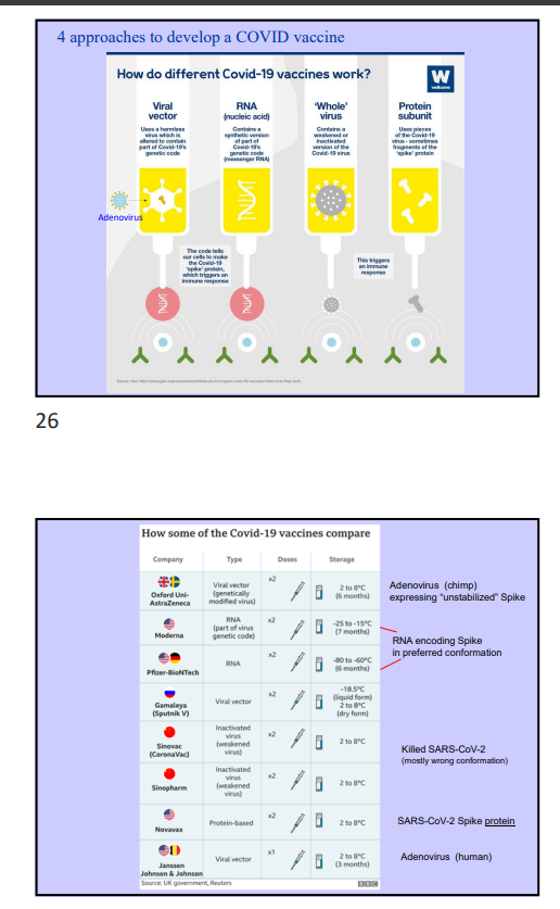 <p>COVID Vaccines </p>