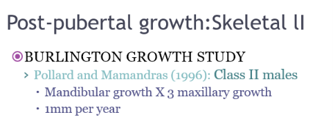 <p>in the same period, skeletal 2 patients, mandibular growth is is 3x maxillary growth </p>