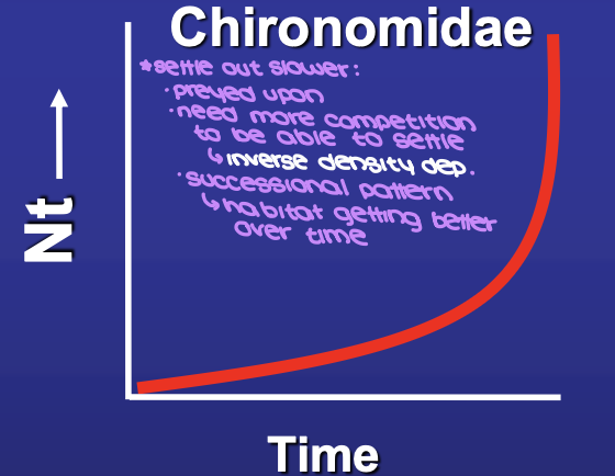 <p><em>Chironomidae</em> still increasing after 2 months</p><p><em>Chironomidae </em>do NOT get there <strong>fast</strong></p><p><span style="color: red;">NOT A MODEL MATCH</span></p>