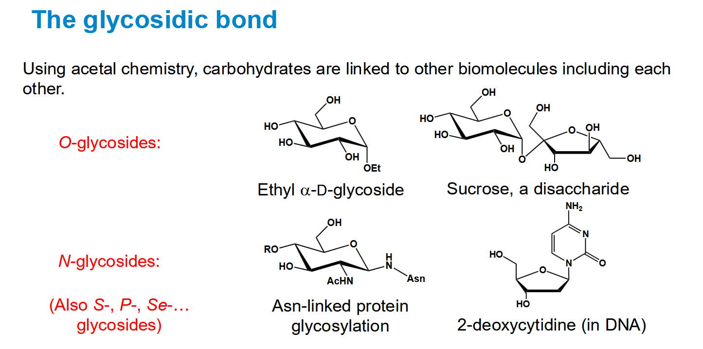 <p>Can be O-glycosides or some other element</p>