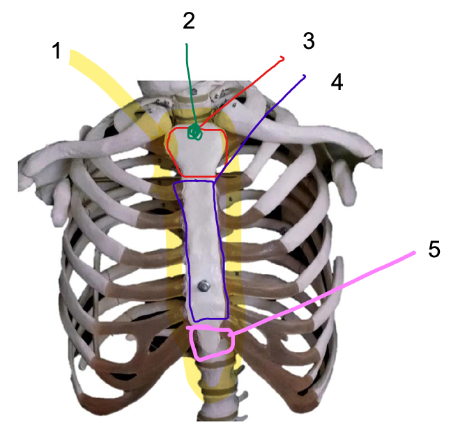<p>Structure 1</p>